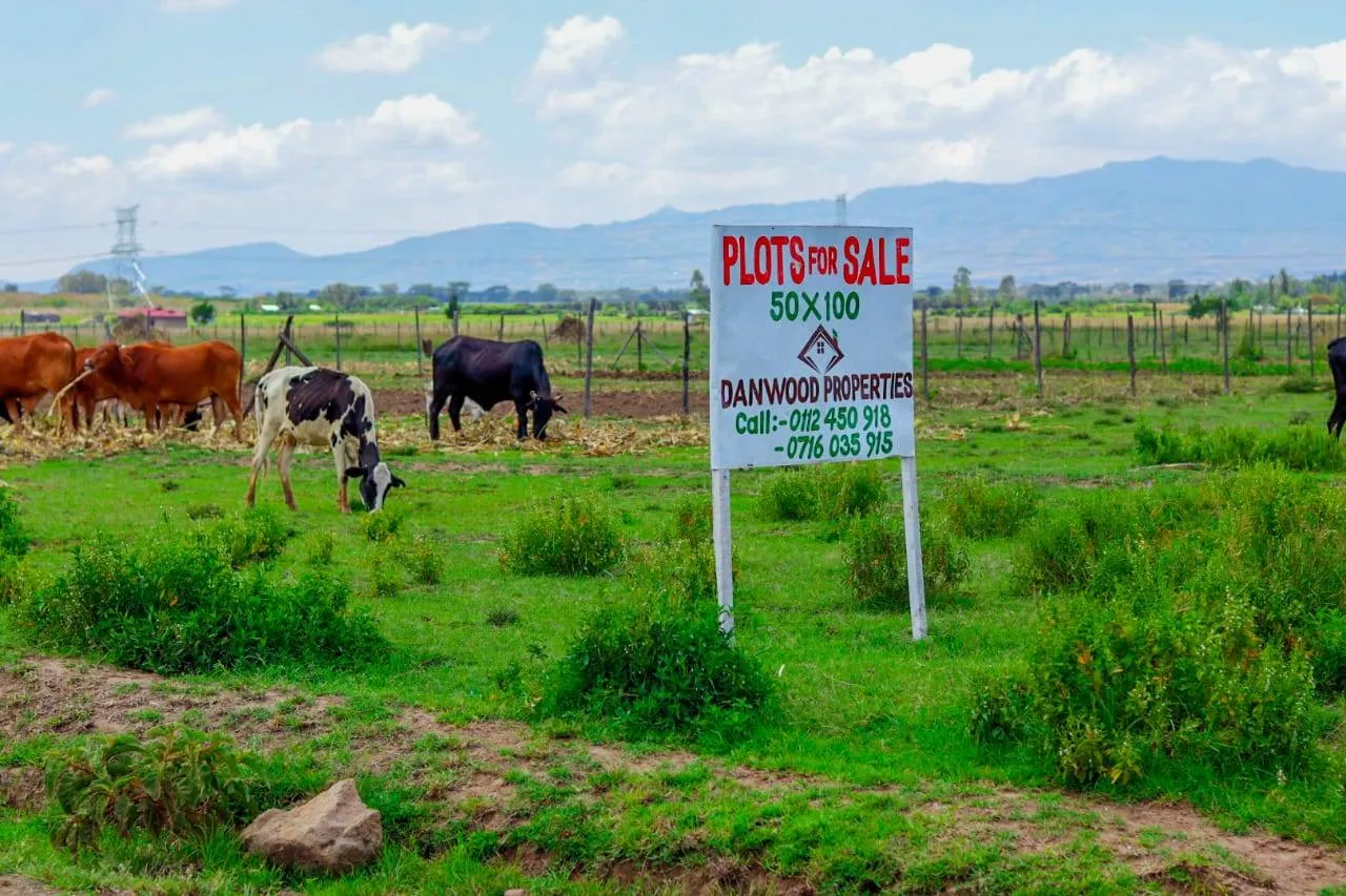 Mutaita Gardens Phase V